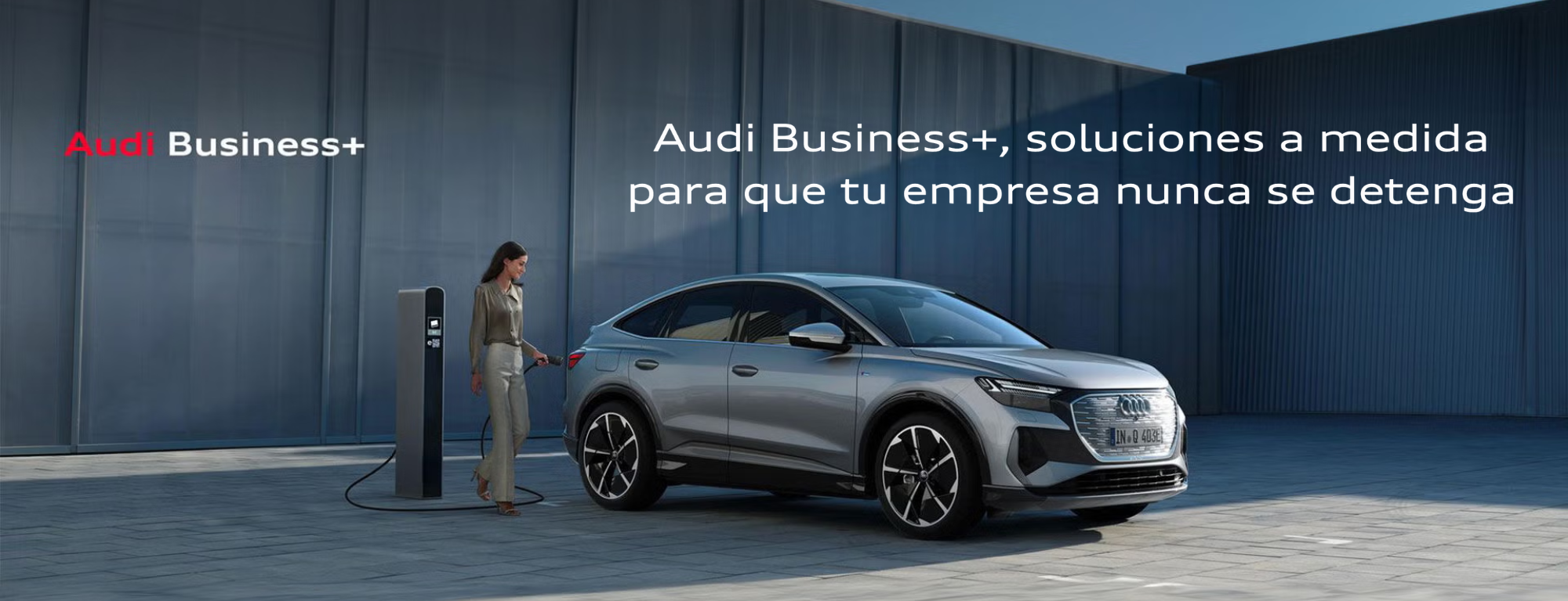 Audi Business +